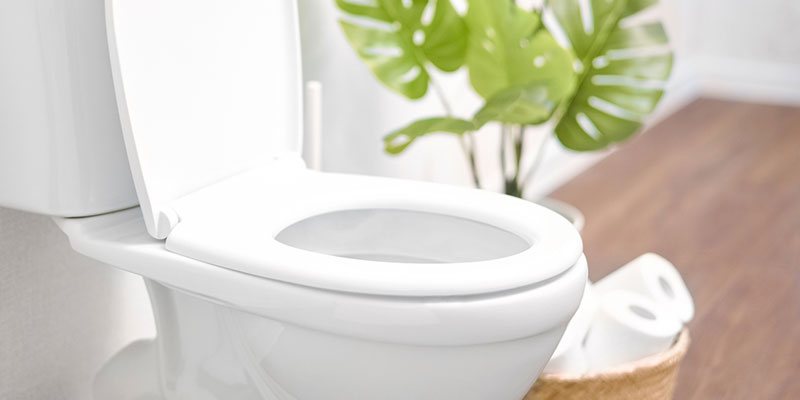 Why You Need to Fix a Running Toilet
